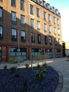 Courtyard garden