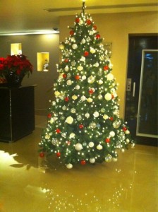 May Fair Hotel tree