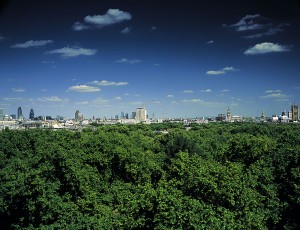 The view from the Rooftop suite