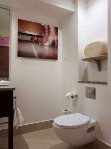 Guest Bathroom with Jessica Craig Martin's Photograph and Hadrian Pigotts soap